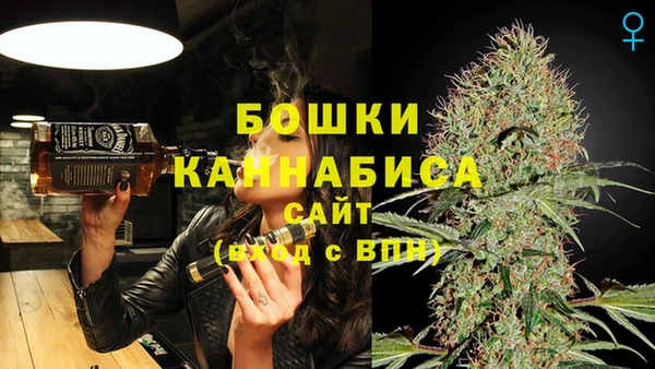 ГАЛЛЮЦИНОГЕННЫЕ ГРИБЫ Краснослободск