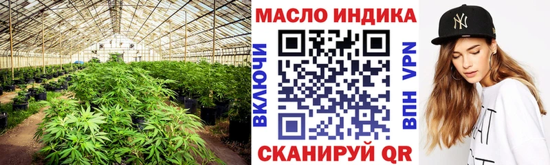 ТГК концентрат Купить Оса